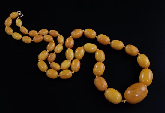 A single strand graduated oval amber bead necklace, 74cm.